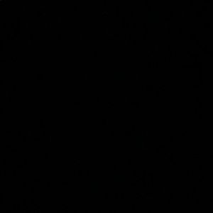 Meet your Posher, Audrey